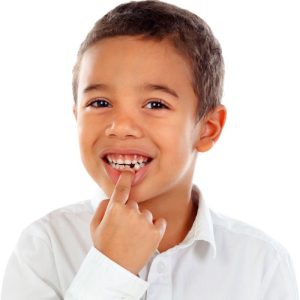 What is the 7 4 rule for teeth